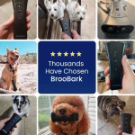 PetGentle Dog Trainer image